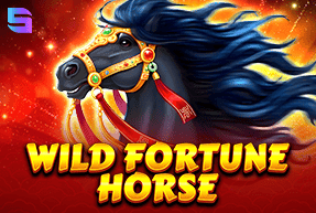 Wild Fortune Horse слот Ева Казино играть